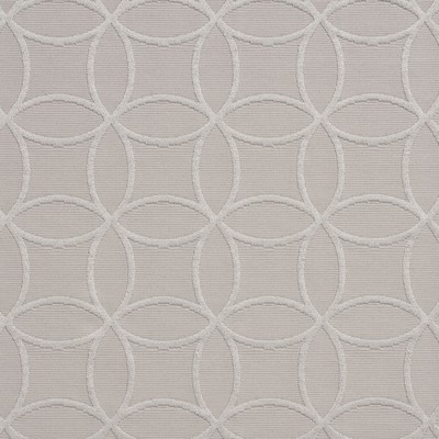 Charlotte Fabrics 20610-07 