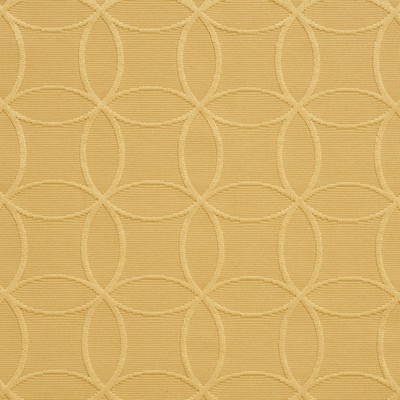 Charlotte Fabrics 20610-09 
