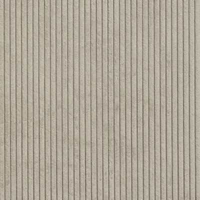 Charlotte Fabrics 20700-05 