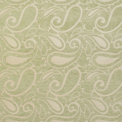 Charlotte Fabrics 20800-06 