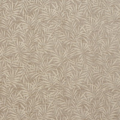 Charlotte Fabrics 20820-03 