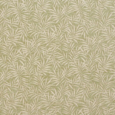 Charlotte Fabrics 20820-06 