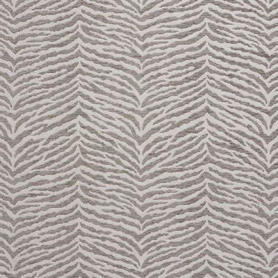 Charlotte Fabrics 20870-01 