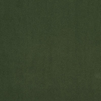 Charlotte Fabrics 20940-25 -25