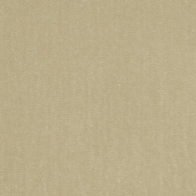 Charlotte Fabrics 20950-02 -02