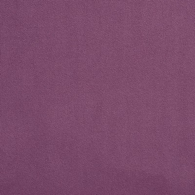 Charlotte Fabrics 2225 Lavender  Lavender
