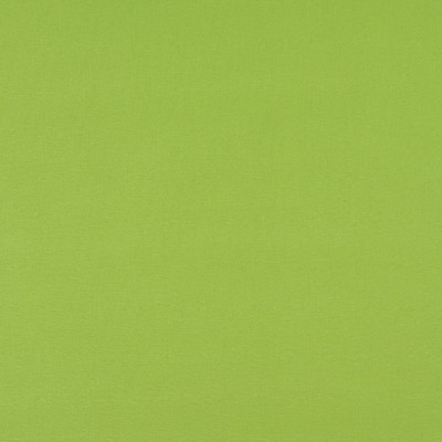 Charlotte Fabrics 2469 Lime