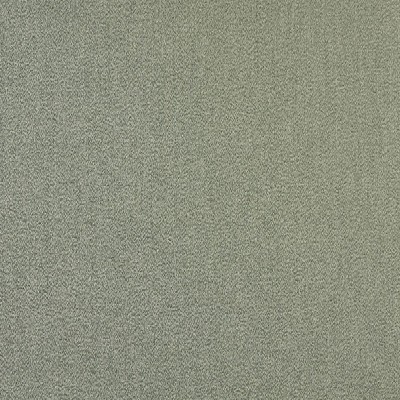 Charlotte Fabrics 2471 Fern