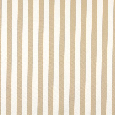 Charlotte Fabrics 2484 Sand Canopy