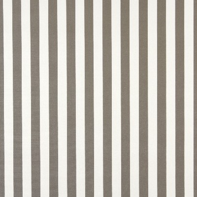 Charlotte Fabrics 2486 Taupe Canopy