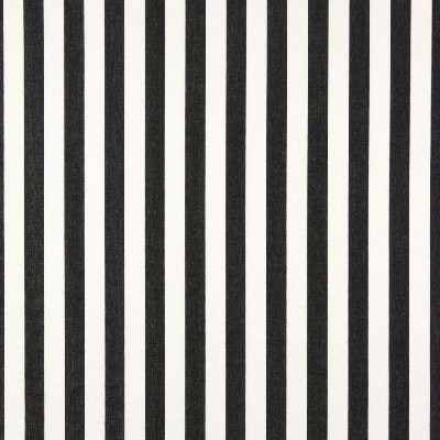 Charlotte Fabrics 2489 Midnight Canopy