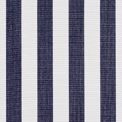 Charlotte Fabrics 2491 Navy Canopy