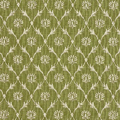 Charlotte Fabrics 2640 Fern/Trellis