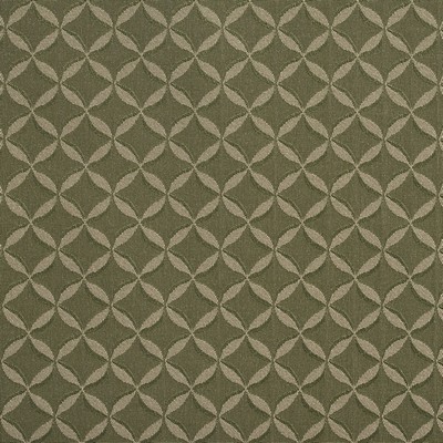 Charlotte Fabrics 2764 Sage  Sage 