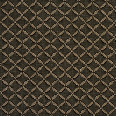 Charlotte Fabrics 2766 Ebony  Ebony 