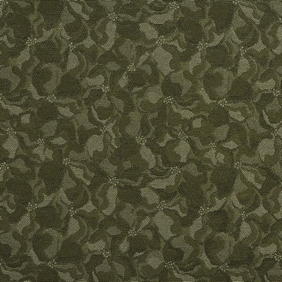 Charlotte Fabrics 2796 Fern  Fern 