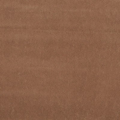 Charlotte Fabrics 2826 Beige/Tan/Taupe