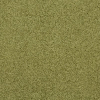 Charlotte Fabrics 2840 Light Green