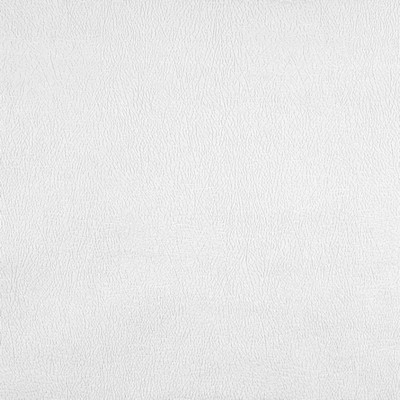 Charlotte Fabrics 2845 White/Off-White