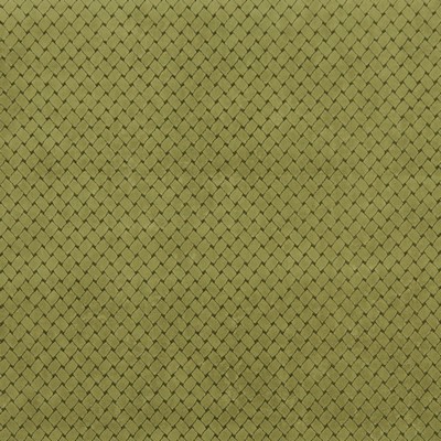 Charlotte Fabrics 2850 Light Green