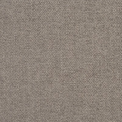 Charlotte Fabrics 2913 Flannel 