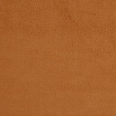 Charlotte Fabrics 2920 Apricot 