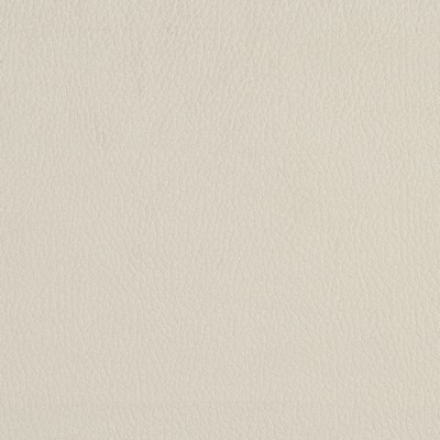 Charlotte Fabrics 2922 Eggshell 