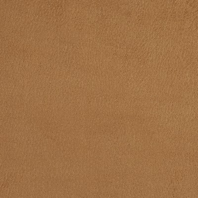 Charlotte Fabrics 2923 Camel 