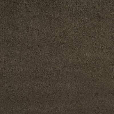 Charlotte Fabrics 2925 Charcoal 