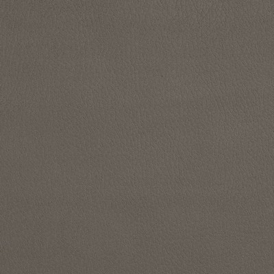 Charlotte Fabrics 2927 Moonstone 