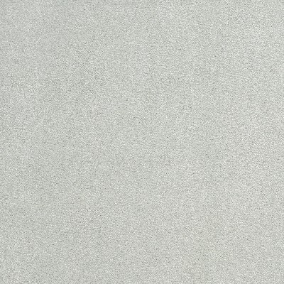 Charlotte Fabrics 3071 Seamist