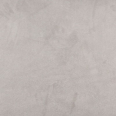 Charlotte Fabrics 3078 Platinum