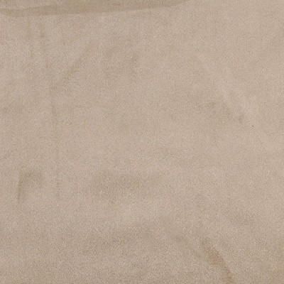 Charlotte Fabrics 3083 Stone