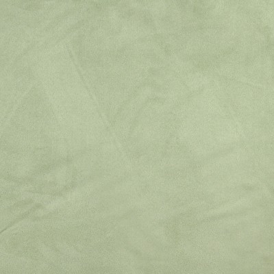 Charlotte Fabrics 3090 Fern