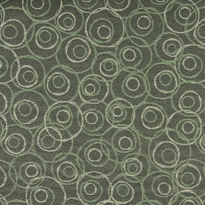 Charlotte Fabrics 3579 Cypress