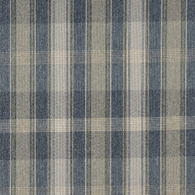 Charlotte Fabrics 3643 Meadow