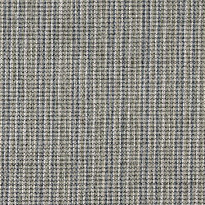 Charlotte Fabrics 3648 Spring
