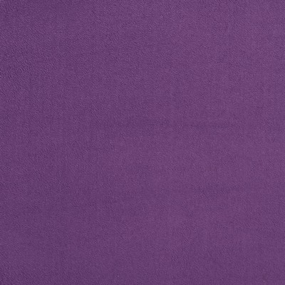 Charlotte Fabrics 3723 Purple Purple