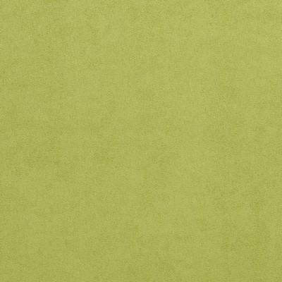 Charlotte Fabrics 3724 Lime Lime