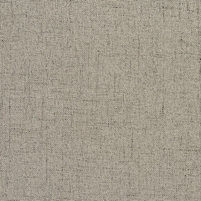 Charlotte Fabrics 3934 Grey  Grey 