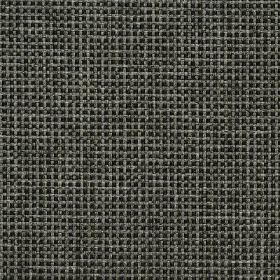 Charlotte Fabrics 4105 Forest