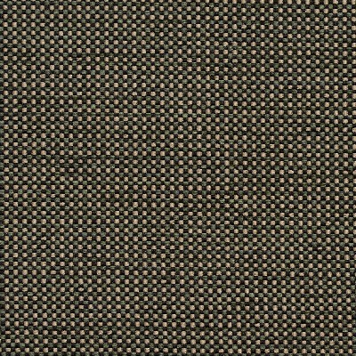 Charlotte Fabrics 4115 Alpine