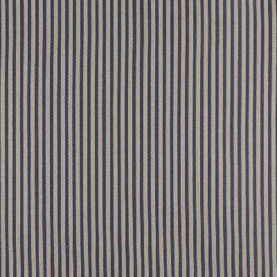 Charlotte Fabrics 4365 Wedgewood Stripe