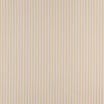 Charlotte Fabrics 4368 Ecru Stripe