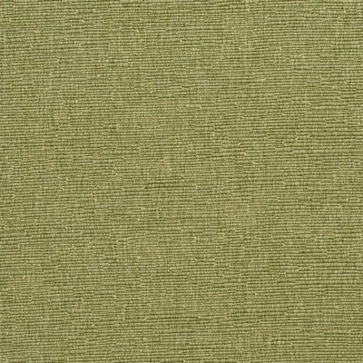 Charlotte Fabrics 4410 Meadow Meadow