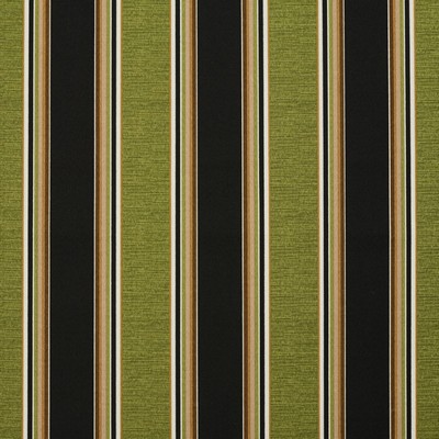 Charlotte Fabrics 4627 Woodland Stripe