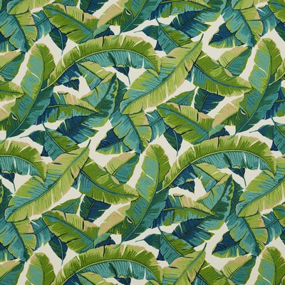 Charlotte Fabrics 4635 Belize 