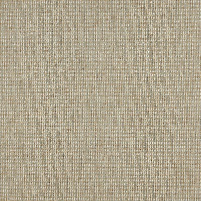 Charlotte Fabrics 5174 Celadon
