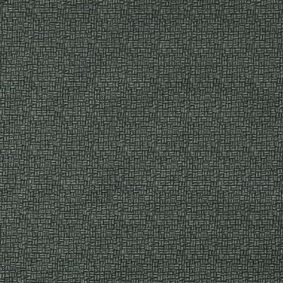 Charlotte Fabrics 5266 Granite