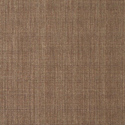 Charlotte Fabrics 5373 Sable